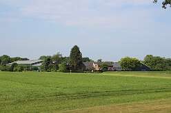 2: IMG_8503